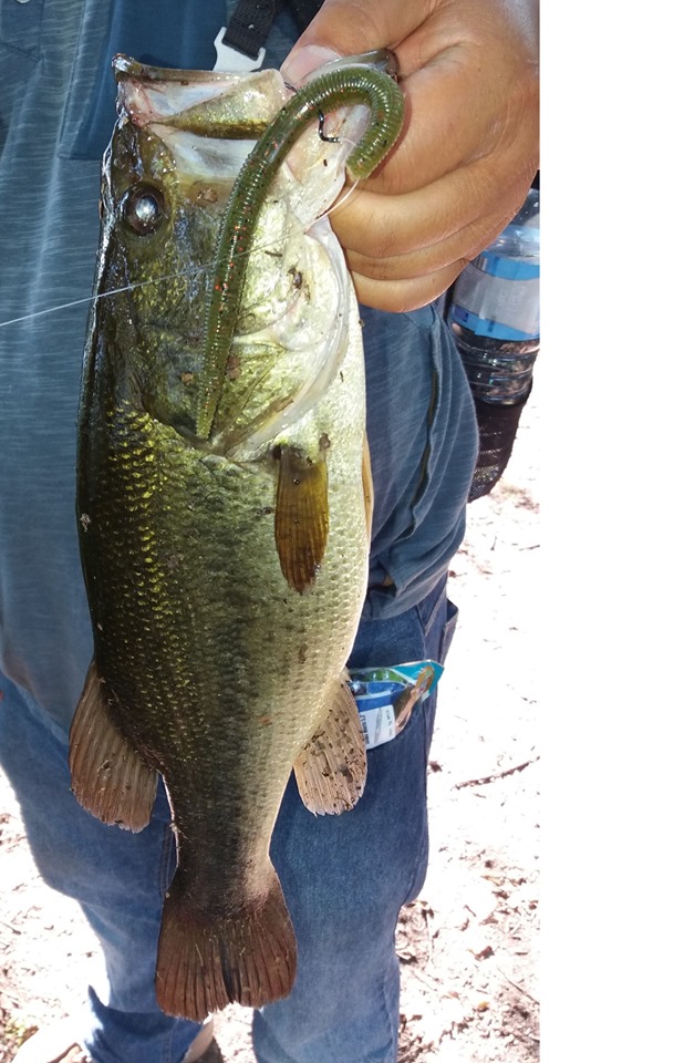 ESFISHING Przynęty Miękkie Sen – Fishing Equipment Ebay recenzja i cena